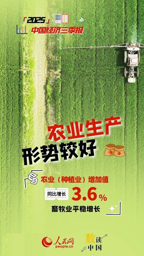 纯旭配资端 稳中有进！9组数据速览中国经济三季报